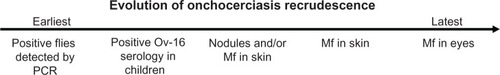 Figure 2 Sequential steps in the evolution of onchocerciasis recrudescence.