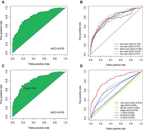 Figure 4 ROC curves of the irlncRNA signature: (A) ROC curve with the optimal AUC value within 5 years. (B) The 1-, 2-, 3-, 4- and 5-year ROC curves. (C) The cut-off point is calculated by AIC. (D) A comparison between the 4-year and clinical characteristics ROC curves.