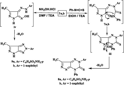 Scheme 2. Synthesis of pyrazolotriazine and pyrazolotriazole derivatives.