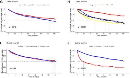 Figure 3 Survival curves of malignant skin cancer patients.