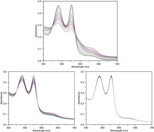 Figure 9.  Absorbance spectra of reaction mixtures containing 10 uM of hemoglobin and 100 uM of xanthine, and 10 mU/ml xanthine oxidase for continuous generation of superoxide. Top: PolyHb. Lower left: PolySFHb. Lower right: PolySFHb-SOD-CAT.