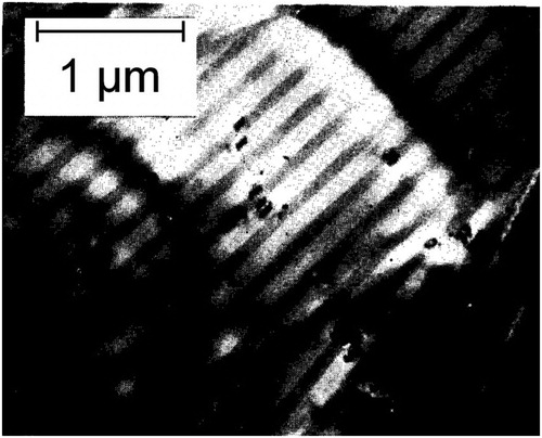 Figure 10. Magnetic domain structure of cementite. Reprinted from [Citation76], with the permission of AIP Publishing.