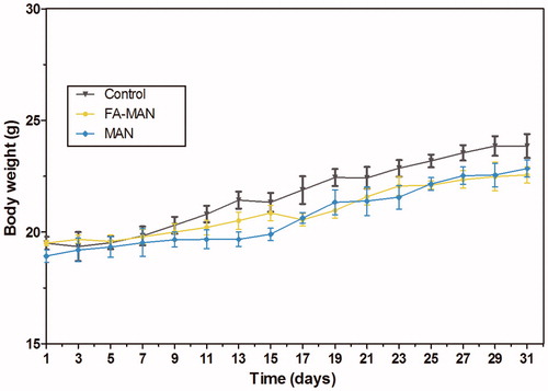 Figure 4. Changes in body weight of mice as a function of one month after intravenous injection of FA-MAN/MAN.