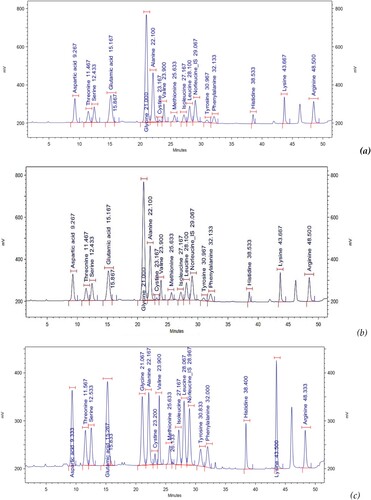 Figure 1. UHPLC chromatography of the amino acid essential ingredients in muscle (a), skin (b), and mucus (c) of marbled eel.