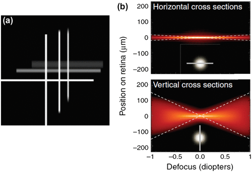 Figure 10. Image quality through a vertical slit pupil. (a) Images of a white cross presented at different distances from the focus. The horizontal lines of further away images are quite blurred compared with the vertical. (b) Horizontal and vertical cross sections of point spread functions plotted against different amounts of defocus. Source: Banks et al. 2015, open access.