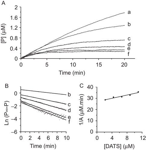 Figure 5.  (A) Reaction monitoring curves for FAS activity assays in the presence of different concentrations of DATS: 0 μM (a), 2.2 μM (b), 4.4 μM (c), 6.6 μM (d), 8.8 μM (e), 11.0 μM (f). The concentration of FAS in this system was 5.15 nM, the concentrations of acetyl-CoA, malonyl-CoA, and NADPH were 13.1 μM, 50.0 μM, and 155.3 μM, respectively. (B) Plots of ln (P∞ – P) vs. time, data from curves of (A). (C) Plot of 1/A vs. concentration of DATS, apparent constants A taken from plots of (B).
