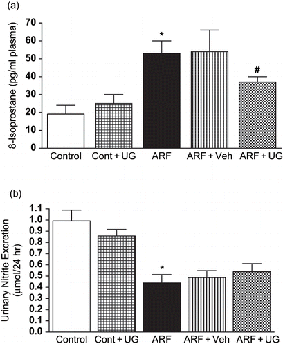 Figure 2. Effect of U74389G on free radical activity and NO production. Plasma 8-Isoprostane (Figure 2a) and urinary nitrite excretion (Figure 2b) in different groups of control or ARF rats treated with vehicle (Veh) or U74389G (UG: 10 mg/kg/day; orally) for 21 days. Values are mean ± SEM. *p < 0.05 versus control; #p < 0.05 versus ARF; n = 6 rats/group. Abbreviations: control = untreated rats; Cont+UG = control rats treated with U74389G; ARF = glycerol-induced acute renal failure; ARF+Veh = ARF rats treated with vehicle; ARF+UG = ARF rats treated with U74389G.