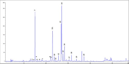 Figure 1. Chromatogram of phenolic compounds of UAE yarrow extract (λ = 280 nm). The numbers of the peaks correspond to the compounds listed in Table 1. I.S.: internal standard (Ethyl gallate).