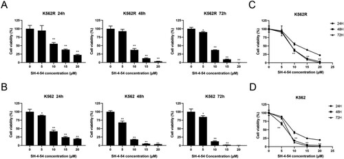 Figure 2. Growth inhibition effects of SH-4-54 on CML cells. Cell viability was measured by CCK-8 assays after treatment of K562R(A) and K562(B) cells with increasing concentrations of SH-4-54 or DMSO as control for different durations. Results are expressed as mean ± SD, and the error bars represent the SD of at least three independent experiments. (A–B) Representative bar graphs * p < 0.05; ** p < 0.01; *** p < 0.001; **** p < 0.0001 vs. control group. (C–D) Representative line graphs *** p < 0.001; **** p < 0.0001 vs. the same concentrations for 24 h.