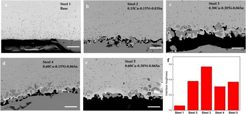 Figure 4. (a–e) BSE-SEM images showing the morphologies of the scale/metal interfaces for the steels oxidized at 1180°C for 3 h. Scale bar, 30 µm. (f) Roughness of the interfaces for the oxidized steels.
