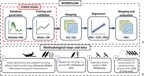 Figure 1. General workflow of the methodological phases followed in this study.