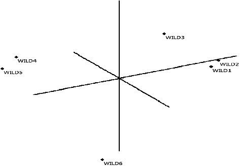 Figure 3. Principal Coordinate Analysis result according to RAPD in wild olives (FAMD 1.31).