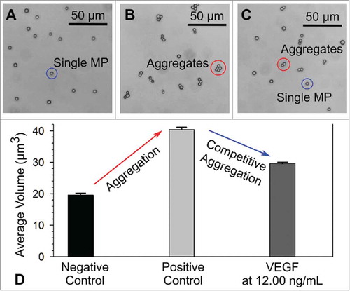 FIGURE 3. Microscopy images of microparticles (MPs)/aggregates from the A) negative control group, B) positive control group and C) competitive aggregation group with VEGF at 12.00 ng/mL. D) Average volume of MPs/aggregates measured from the corresponding groups.