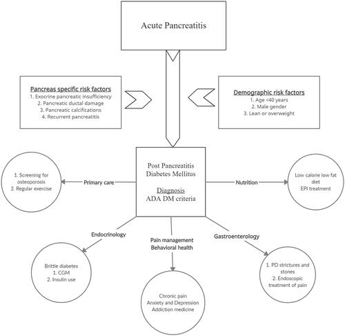Figure 1. Multidisciplinary care model for patients with post-pancreatitis diabetes mellitus. Abbreviations: ADA: American Diabetes Association; CGM: Continuous glucose monitoring; DM; Diabetes mellitus; EPI: Exocrine pancreatic insufficiency; PD: Pancreatic duct.