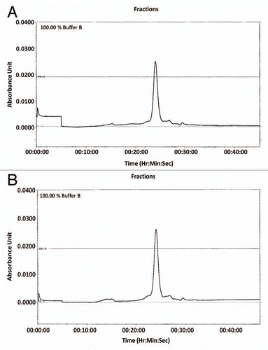 Figure 2 Analysis of purified wild-type cRFB4 and His310Ala constructs using size-exclusion chromatography. (A) cRFB4; (B) mcRFB4-H310A. This is one of three experiments.