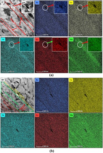 Figure 3. EDS maps showing the element distribution of the regions selected from Figure 2(a). (a) EDS map for region Ⅰ, and (b) EDS map for region II. Dark-filed (DF) TEM showing the Mn precipitate at the triple joint of laminar grains was provided in the top-right corner of the BF-TEM image in Figure 3(a). The grain structures having segregated Ni and Mn were marked by red lines in the BF-TEM images. Mn precipitates were marked by white circle.