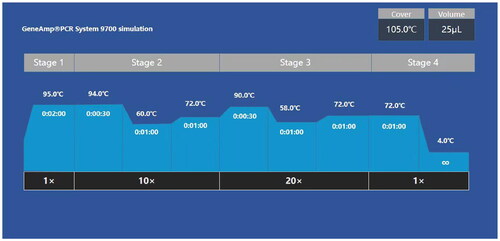 Figure 2. Amplification conditions of the AGCU EX22 Kit.