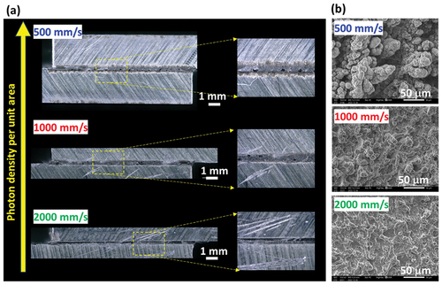 Figure 7. Observation of effect in adhesive thickness of SLS specimen for ML measurement. (a) Microscope observation of adhesive layer after adhesively bonding and (b) SEM images of laser-induced 3D micro-structure on aluminum (A6061) substrate.