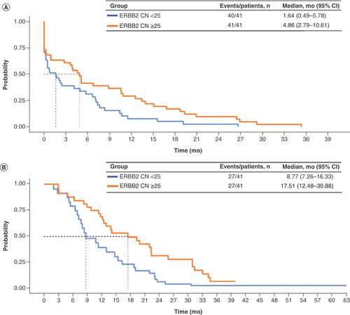 Figure 2. Time to treatment discontinuation and overall survival from first-line trastuzumab start in patients whose tumors were HER2+ concordant by median ERBB2 copy number. (A) Time to treatment discontinuation. (B) Overall survival.CN: Copy number; mo: Months.