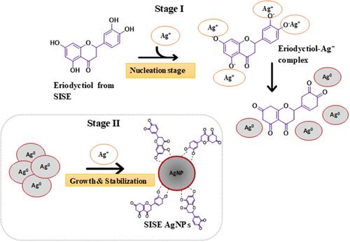 Figure 2 Mechanism of SISE AgNPs synthesis, using Eriodyctiol as a putative bioactive metabolite from SISE.