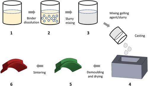 Figure 2. Different steps of the gel-casting process.