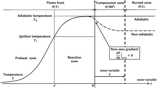 Figure 1. Schematic diagram of regions composed of a flame front and succeeding burned zones. The matching of inner and outer solutions is made in the overlapping region, where compression zone meets burned zone, denoted by vertical dashed line.