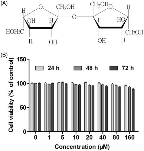 Figure 1. Chemical structure of BJJS (A) and effects of BJJS on viability of HepG2 cells (B). Cell viability was examined using the MTT assay. Data (% viability) are expressed as the mean ± SD (n = 6).