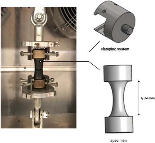 Figure 2. Direct tensile testing configuration: (a) specimen fixed in the clamping system after testing, and (b) schematic of uniaxial specimen response in tension.