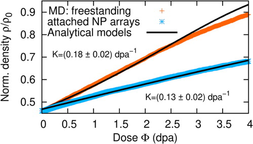 Figure 4. Evolution of density ρ normalized to the density of the non-porous solid ρ0, as a function of dose Φ for freestanding and substrate-attached NP arrays. While the individual data points are directly extracted from MD runs, the solid lines represent fits to the continuum model predictions.