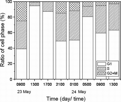 Figure 6  Diel cell cycle analysis of Heterosigma akashiwo from Shiwha Lake after fluorescence in situ hybridisation.