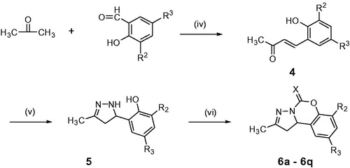 Scheme 2. Synthesis of compounds 6a–6q. Reagents and conditions: (iv) 40% NaOH solution, 60 °C; (v) N2H4·H2O, EtOH, reflux; (vi) N,N′-carbonyldiimidazole or 1,1′-thiocarbonyldiimidazole, CH2Cl2, r.t.