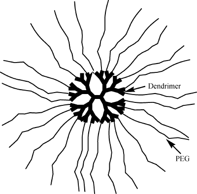 FIG. 1.  Schematic of a stealth nanoparticle composed of a G3.0 PAMAM dendrimer core and a PEG shielding layer.