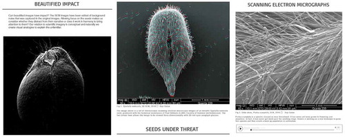 Figure 3. Pages from the Seeds Under Threat online exhibition.
