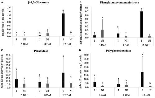 Fig. 4 Specific activity of β-1,3-glucanase (a), phenylalanine ammonia-lyase (b), peroxidase (c) and polyphenol oxidase (d) in Macrotyloma axillare ‘Java’ inoculated or not with Meloidogyne javanica – Trial 1. Bars with the same lowercase letter do not differ at the same time of evaluation by the Bonferroni T test (p > 0.05). DAI = days after inoculation. I = inoculated. NI = non-inoculated.