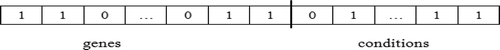 FIGURE 5 Encoding representation of a bicluster.