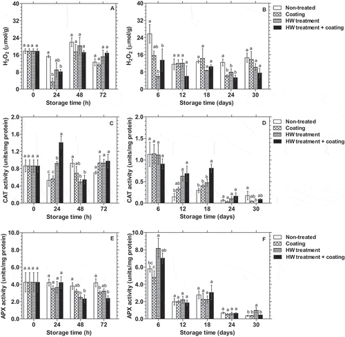 Figure 3. Changes in H2O2 content (A, B), CAT (C, D), and APX activities (E, F) (n = 3) in the peel of dragon fruit coated with 1.0% chitosan- and 0.2% κ-carrageenan-based composite, HWT, or HWT + composite coating, compared to non-treated fruit, during storage at 10°C. Different letters above bars indicate significant differences (p < 0.05) on the same storage day according to Fisher’s LSD test