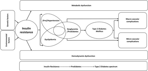 Figure 1 Key features of dysglycemia-based chronic disease and the insulin resistance-prediabetes-type 2 diabetes spectrum. Insulin resistance is the driving factor leading to prediabetes, diabetes, micro- and macro-vascular complications.