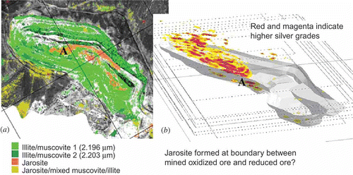 Figure 7. Comparison of the ProSpecTIR short-wave infrared (SWIR) mineral map for the bottom of the Trinity Mine pit (extracted from figure 6) to 3D plot of mined silver ore grade. Colours on mineral map (a) match figure 6. Red and magenta colours on ore grade plot (b) indicate higher silver grades. Note apparent partial correspondence at approximate location ‘A’ between bottom of mined high-grade ore in (b) and the centre part of the jarosite zone shown in (a). North–south index lines on (a) run from upper right to lower left and (b) shown in approximately the same orientation.