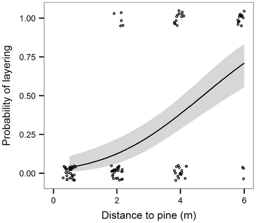FIGURE 6. Spruce branches layering probability in relation to distance between spruce tree crown and pine shrub crown margins. Layering probability is gradually increasing from zero to 67% with increasing distance to pine. Gray area is within 95% confidence intervals. Small circles (slightly jittered to avoid overplotting) represent the observed values.