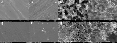 Figure 1 FE-SEM images of the titanium samples in: (A) the control group; (B) Group N containing only a nitride layer; (C) Group NA subjected to both nitriding and anodic oxidation; and (D) Group NAG subjected to nitriding, anodic oxidation, and graphene oxide deposition (10,000x FE-SEM mode). (E) the control group; (F) Group N containing only a nitride layer; (G) Group NA subjected to both nitriding and anodic oxidation; and (H) Group NAG subjected to nitriding, anodic oxidation, and graphene oxide deposition (100,000x FE-SEM mode).