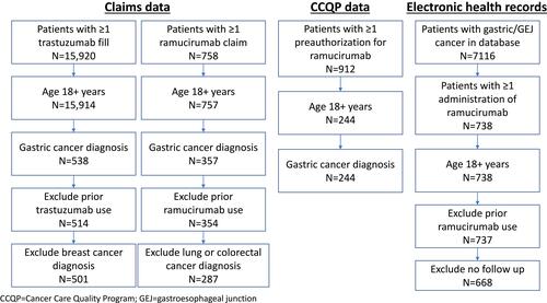 Figure 1 Flow chart of patient eligibility.