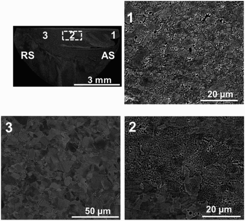 Figure 1. SEM micrographs taken at various locations in the friction stir-processed region. The locations are marked along with the location of cross-section of the mini-tensile sample gage on the macro view of the processed region.