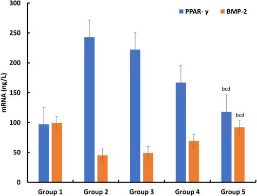Figure 7 The concentration of PPAR- γ and BMP-2 in rabbits after 6 weeks observation period (n=6). bp<0.05, Group 5 vs Group 2; cp<0.05, Group 5 vs Group 3; dp<0.05, Group 5 vs Group 4.