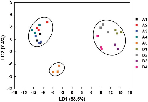 Figure 4. Liner discriminant analysis (LDA) score plot of apple juices based on nine industrial production technologies. The percentages of total variance covered by the LDs are indicated on the axes.Figura 4. Diagrama de resultados del análisis discriminante lineal (LDA) de los jugos de manzana obtenidos empleando nueve tecnologías de producción industrial diferentes. Los porcentajes de varianza total explicados por los LD figuran en los ejes.