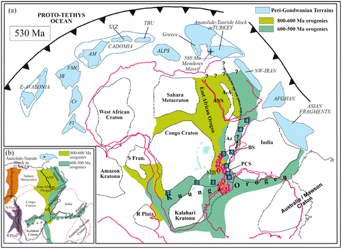 Figure 1. (a) Palaeogeography of the Gondwanan plates and Cadomian-Avalonian active margin and related peri-Gondwanian terranes at ca. 530 Ma (Candan et al., Citationin press). The possible locality of the suture zone in the India–Madagascar and northward continuity beneath the Phanerozoic cover of Arabia are after Collins et al. (Citation2007) and Allen (Citation2007). Granulite localities (red diamonds) in East African Orogen are after (1) Coolen, Priem, Verdurmen, and Verschure (Citation1982), (2) Maboko and Nakamura (Citation1996) and Muhongo, Kröner, and Nemchin (Citation2001), (3) Kroner et al. (Citation1997), (4) Macey et al. (Citation2013), (5) Möller , Mezger, and Schenk (Citation2000), (6) Jöns and Schenk (Citation2008), (7) Hauzenberger et al. (Citation2007), (8) Collins and Pisarevsky (Citation2005) and Collins, Clark, and Plavsa (Citation2014); (9) Pant et al. (Citation2013), (10) Adachi et al. (Citation2013) and (11) Hokada et al. (Citation2013). Granulite localities (blue squares) in Kuunga Orogen are after (1): Kröner, Willner, Hegner, Jaeckel, and Nemchin (Citation2001), (2) Johnson, Rivers, and De Waele (Citation2005), (3) Hauzenberger, Bauernhofer, oinkes, Wallbrecher, and Mathu (Citation2004, Hauzenberger et al., Citation2007), (4) Küster, Utke, Leupolt, Lenoir, and Haider (Citation1990) and Lenoir et al. (Citation1994), (5) Berger et al. (Citation2006), Collins (Citation2006), Grégoire et al. (Citation2009), Goodenough et al. (Citation2010) and Giese, Berger, Schreurs, and Gnos (Citation2011), (6) Markl, Bauerle, and Grujic (Citation2000); (7) Jung, Jung, Kröner, and Kröner (Citation2007), (8) Sajeev et al. (Citation2007) and (9) Fonarev, Konilov, and Santosh (Citation2000), Santosh et al. (Citation2006) and Collins et al. (Citation2014); AM: Armorican Massif, A-A: Afif-Abas Terrane, ANS: Arabian-Nubian Shield, Az: Azania, BS: Betsimisaraka Suture, Cr: Carolina, Fl: Florida, FMC: French Massif Centrals, IB: Iberian Massif, MB: Mozambique Belt, PCS: Palghat-Cauvery Suture, R Plata: Rio de la Plata, S Fran: Sao Francisco, SXZ: Saxothuringian Zone, TBU: Tepla-Barrandian Unit, (b) Simplified map illustrating the extensions of the orogenic belts causing the final amalgamation of the Gondwana after Meert (2003) and Collins and Pisarevsky (Citation2005).