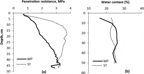 Figure 3 Penetration resistance (measured one month after sowing) in mouldboard ploughing (MP) and shallow tillage (ST) as a function of depth (a), and gravimetric water content (%) in samples taken at the time of penetration resistance measurement (b). N = 4 in (a) and (b).