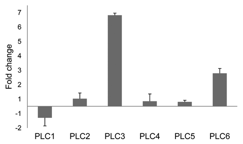 Figure 2. Effect of elevated temperature on PLC expression in tomato seedlings. Relative expression of the six tomato PLC genes (PLC1 to -6) is presented for a 1:1 mixture of seedlings of the parental lines which were maintained at 33°C. Relative expression was calculated using the expression of the tomato Actin gene as an internal reference and the PLC expression in the seedlings which were maintained at 20°C as control. This allowed determining the changes in PLC expression as a result of elevated temperature. Error bars represent the standard error of two quantitative PCR samples from the same cDNA archive. The experiment was performed twice, with similar results.