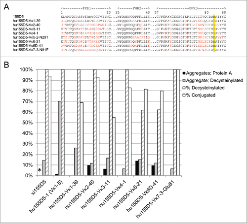 Figure 2. Aggregation levels and conjugation efficiency of different variants of zu155D5 generated by using various human Vκ subfamilies. (A) The CDRs of 155D5 were grafted on several human germline frameworks. black: common residues between human and rabbit frameworks, red: unique human framework residues, green: C80, highlighted: residue 83 (B) Humanized 155D5 variants were analyzed for aggregation by SEC-HPLC after protein A (black) and decysteinylation (gray) purification. As in Fig. 1, ESI-MS of non-reduced mAbs was used to determine the percent of decysteinylated C80 (hashed) and percent conjugation (dotted) following incubation with maleimide-PEG2-biotin. * Percent aggregates after protein A purification was not analyzed for xi155D5.