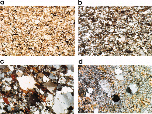Figure 16 Comparison of textures of felsic gneisses from the Parnell Formation and Hores Gneiss, from within 400 m of each other, lowest sillimanite metamorphic grade, southwest of Mt Gipps homestead. (a, b) Felsic gneiss from Parnell Formation, field of view 10 mm across: (a) plane-polarised light, showing sandstone-like texture, (b) crossed polars. (c) Parnell Formation sample showing rare, angular quartz grain resembling quartz phenocryst from Hores Gneiss (crossed polars). Field of view 3 mm across. (d) Porphyritic texture in Hores Gneiss, showing quartz phenocrysts and one altered feldspar phenocryst in a fine-grained matrix (crossed polars). Field of view 10 mm across. (a – c) are from GR 550730 6498470 (1966 geoid), and (d) is from GR 551040 6498600 (1966 geoid), all from Zone 54, on the Yanco Glen 1:25 000 map sheet.
