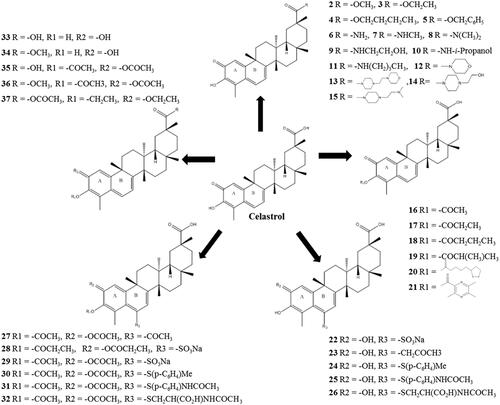 Figure 1. Chemical structure of celastrol and its analogues.